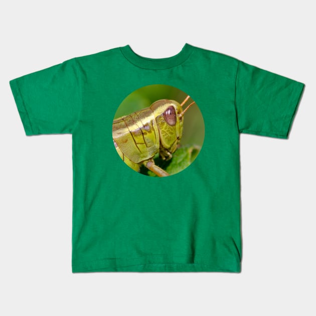 Green Grasshopper Macro Photograph Circle Kids T-Shirt by love-fi